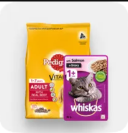 Pet Care
